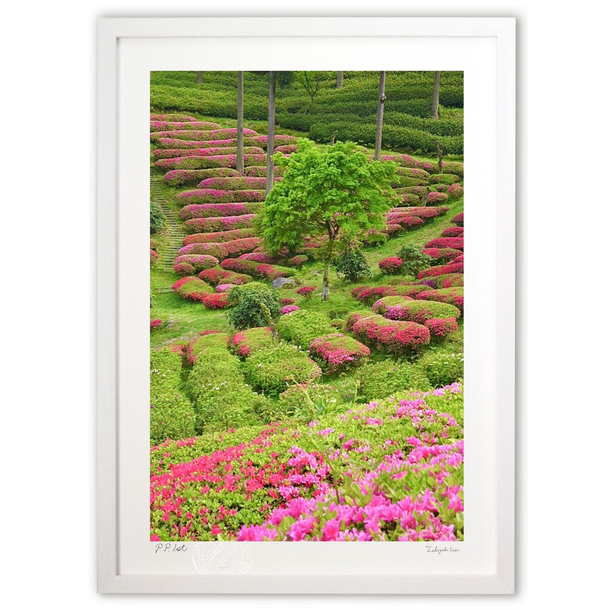 【スーパーSALE半額】版画 躑躅ケ丘2 (mitan)インテリア 壁掛け 額入り 風景画 ポスター アート リビング 玄関に飾る 風水 プレゼント モダン ア...