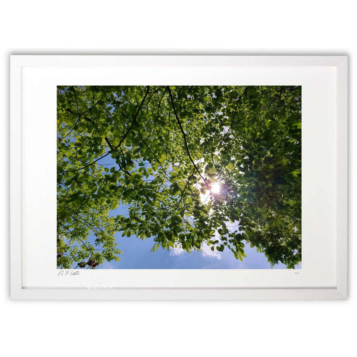 ڥѡSALEȾۡǲ 饭✨ (okiron)ƥꥢ ɳݤ  ʲ ݥ  ӥ ؤ˾  ץ쥼...