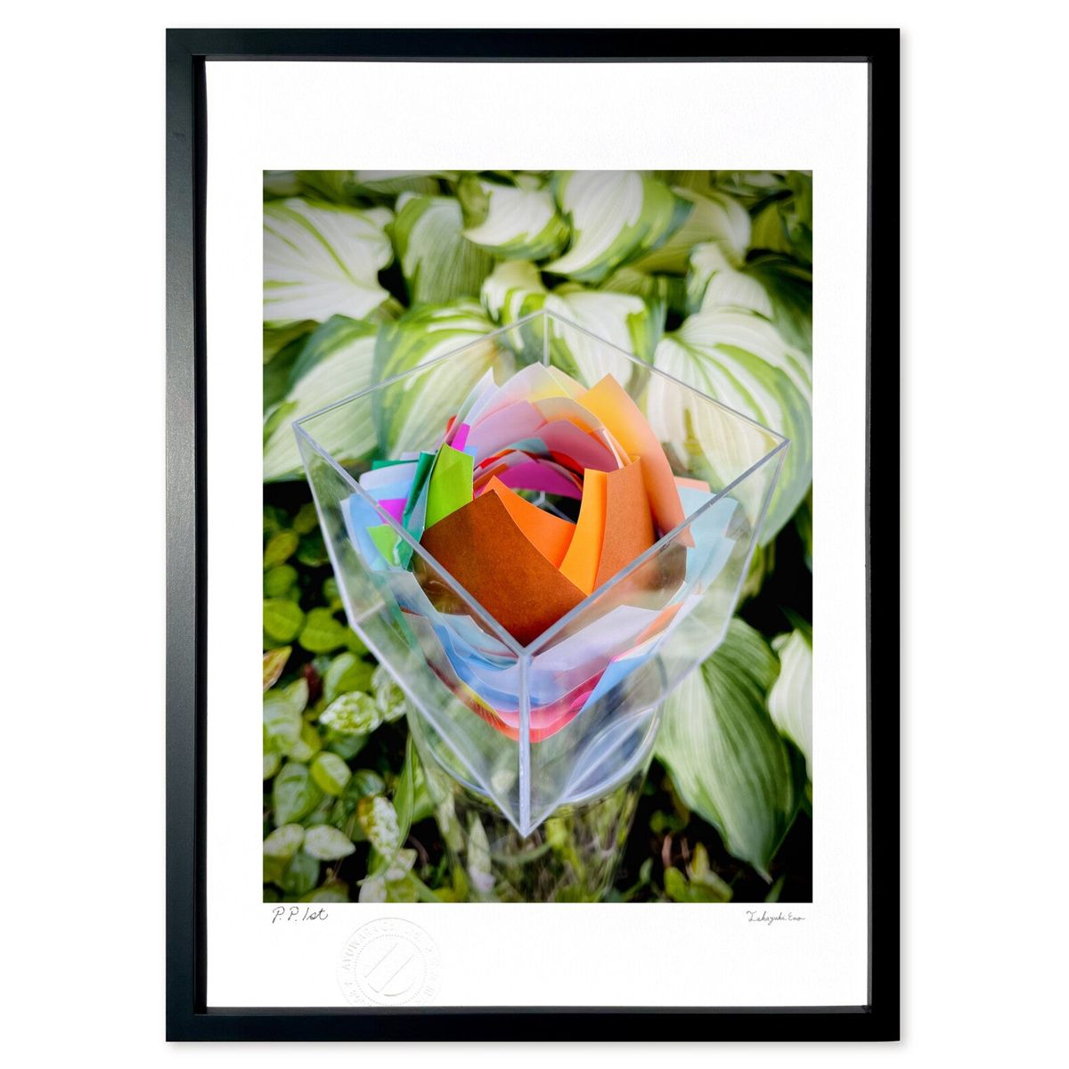 ڥѡSALEȾۡǲ paper rose (aki-san)ƥꥢ ɳݤ  ʲ ݥ  ӥ ؤ˾  ץ쥼...