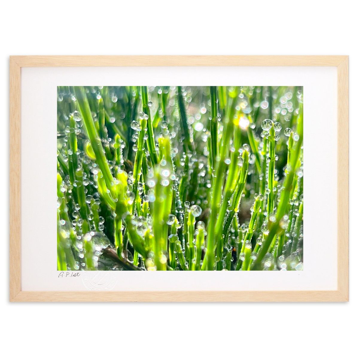 ڥѡSALEȾۡǲ īۤ˸ (Misora)ƥꥢ ɳݤ  ʲ ݥ  ӥ ؤ˾  ץ쥼...