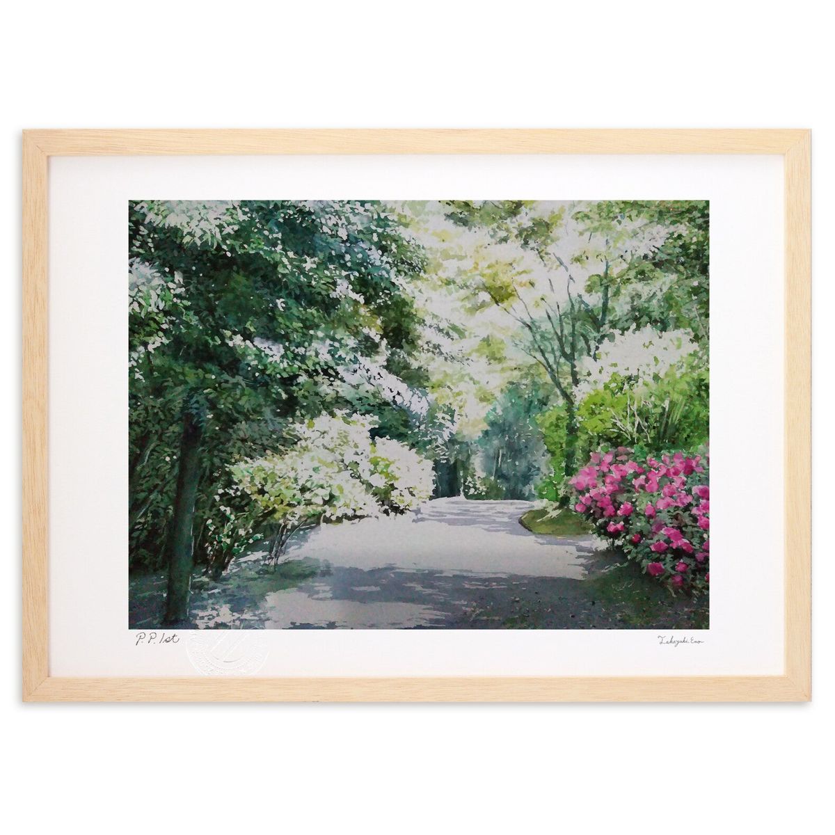 ڥѡSALEȾۡǲ 5ۼͤ (ļɧ)ƥꥢ ɳݤ  ʲ ݥ  ӥ ؤ˾  ץ쥼  ...