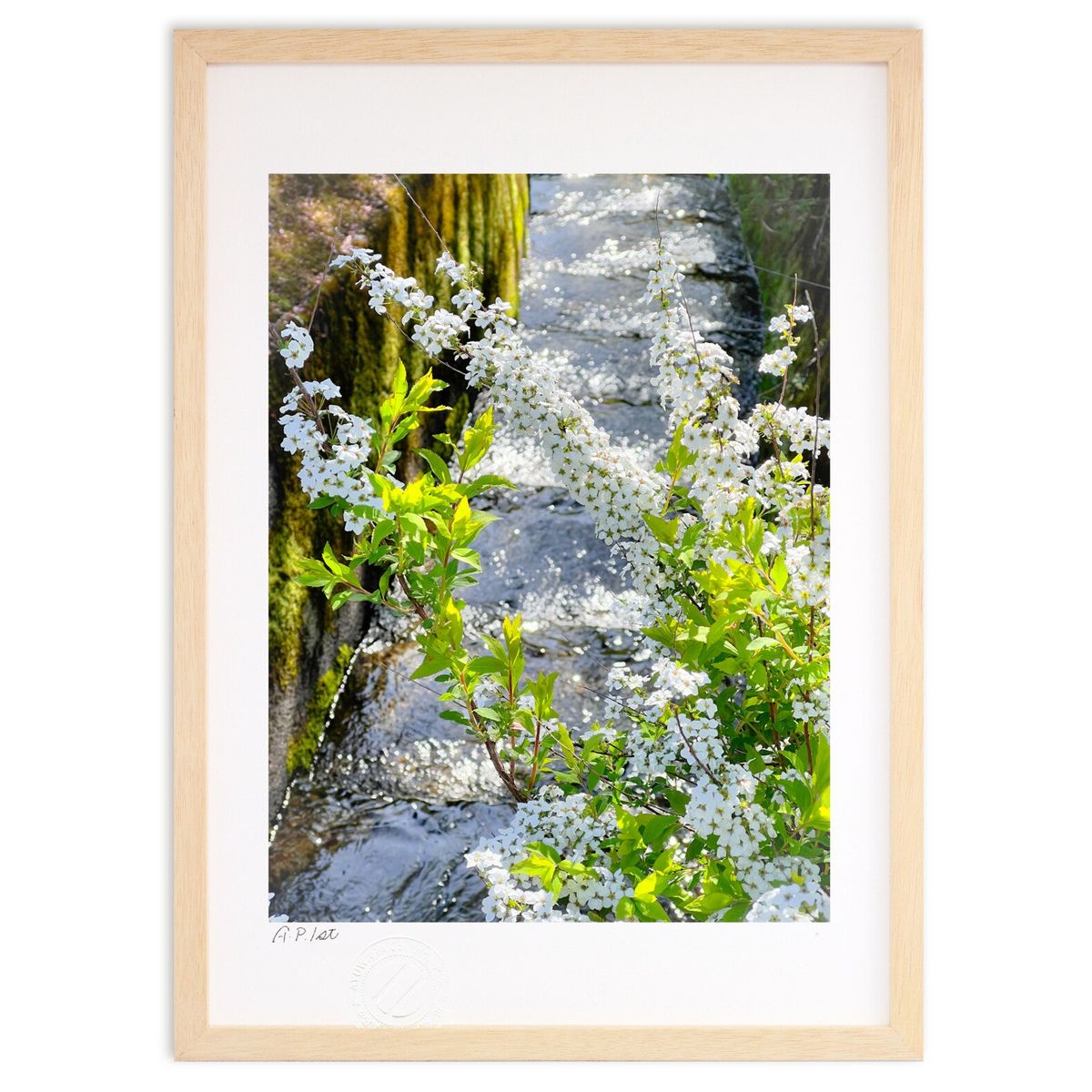 ڥѡSALEȾۡǲ 򤵵 (Misora)ƥꥢ ɳݤ  ʲ ݥ  ӥ ؤ˾  ץ쥼 ...