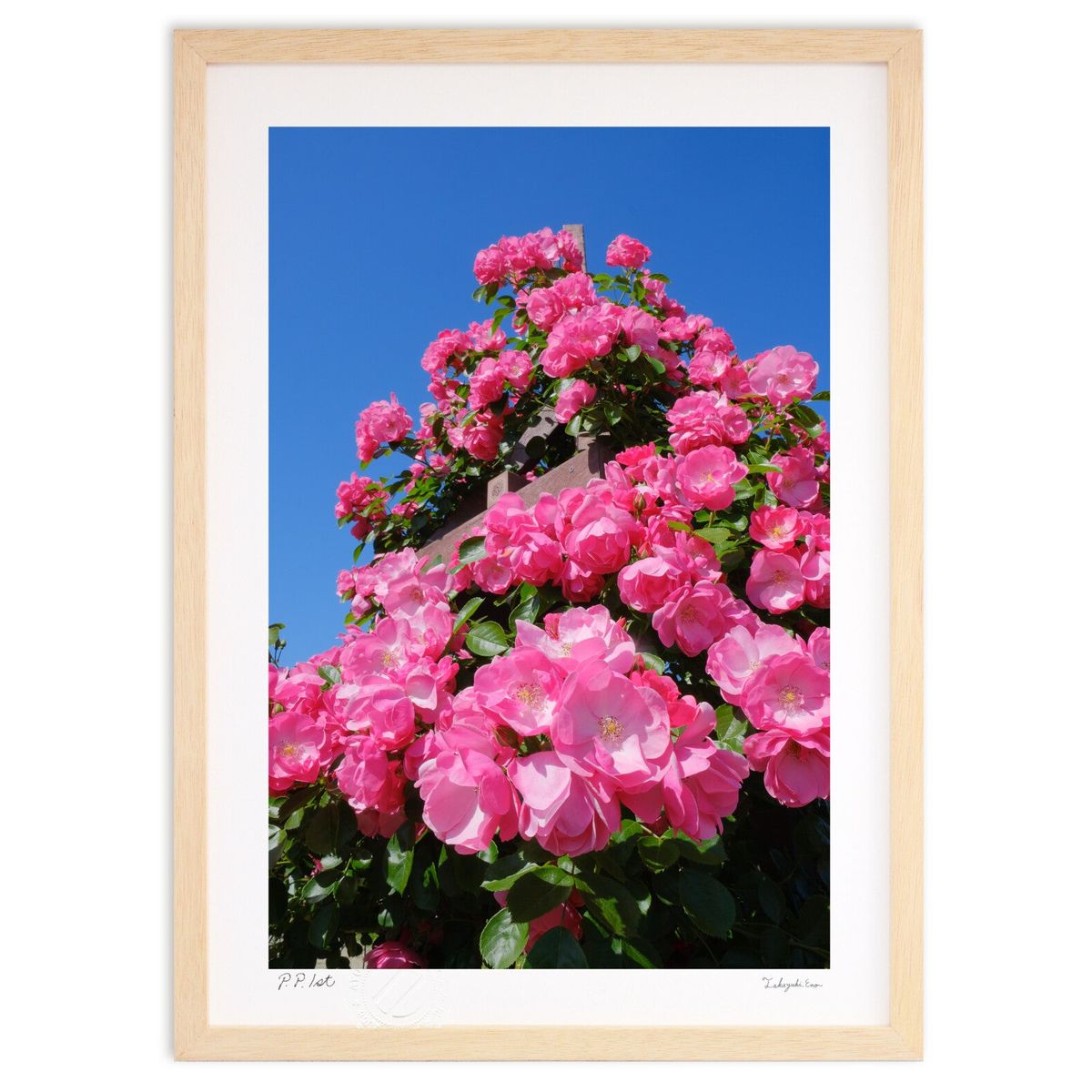 ڥѡSALEȾۡǲ ХΥĥ꡼ (ɼ)ƥꥢ ɳݤ  ʲ ݥ  ӥ ؤ˾  ץ쥼  ...