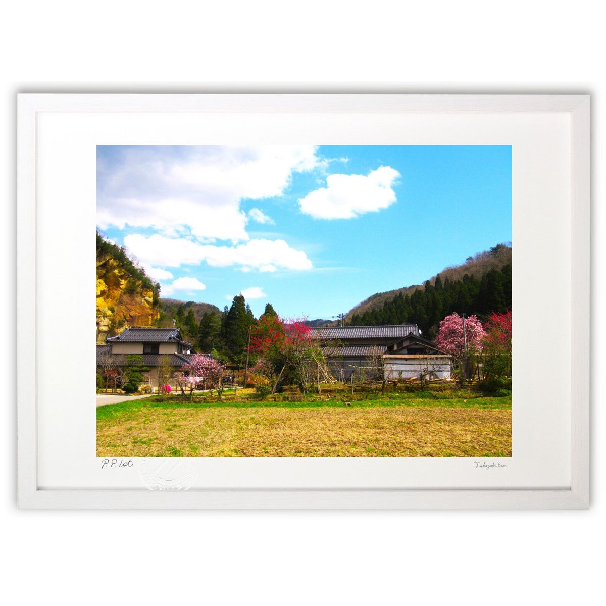 ڥѡSALEȾۡǲ ̿Τνա() (C5348)ƥꥢ ɳݤ  ʲ ݥ  ӥ ؤ˾  ץ쥼...