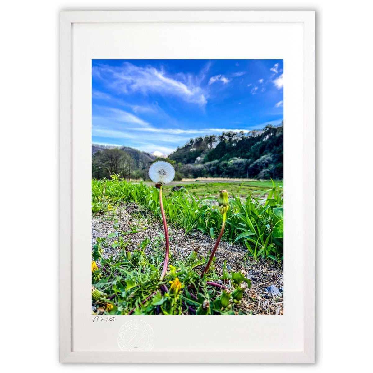 【スーパーSALE半額】版画 青空に映える (美宇宙(Misora))インテリア 壁掛け 額入り 風景画 ポスター アート リビング 玄関に飾る 風水 プレゼン...