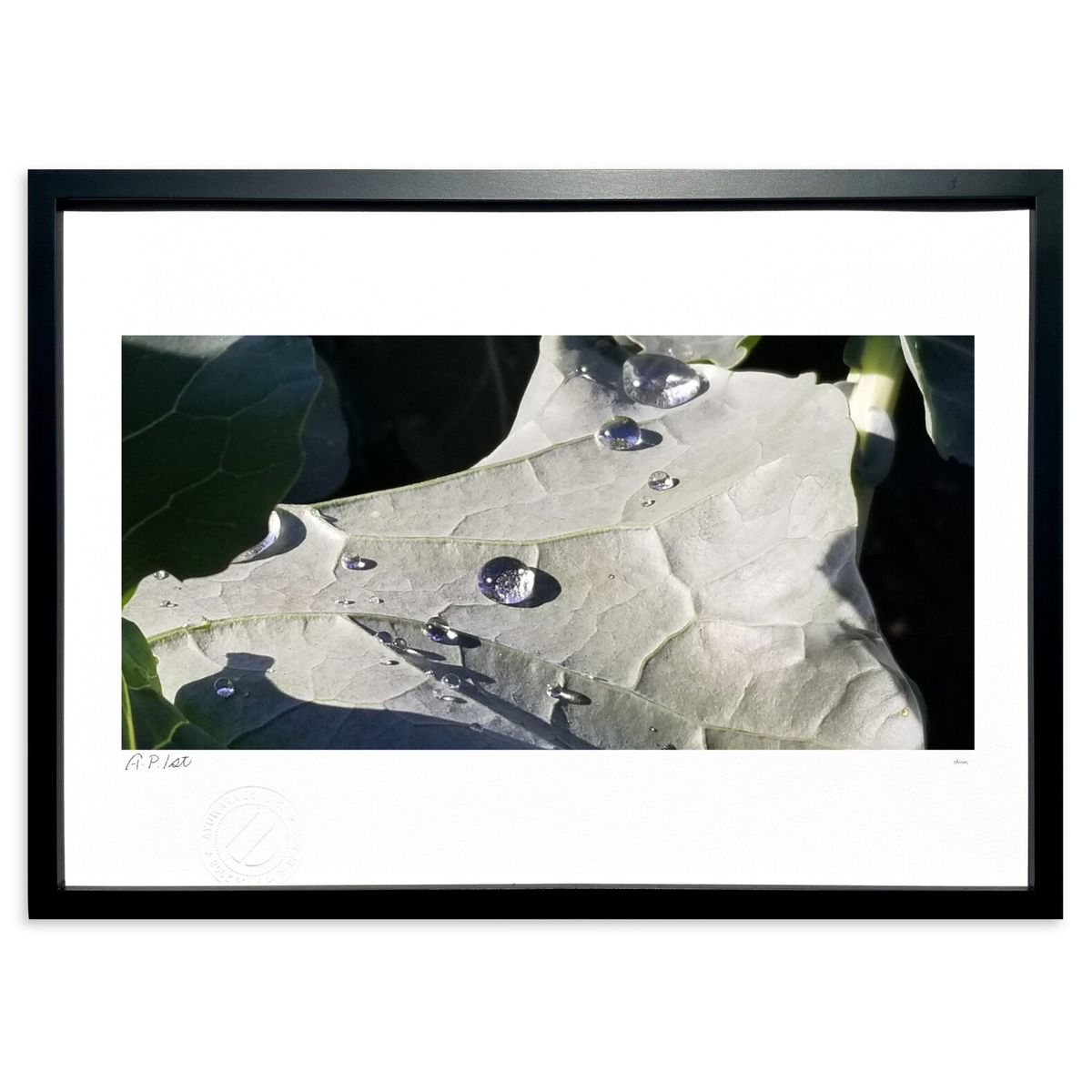 【スーパーSALE半額】版画 転がる、水玉 (okiron)インテリア 壁掛け 額入り 風景画 ポスター アート リビング 玄関に飾る 風水 プレゼント モダン...