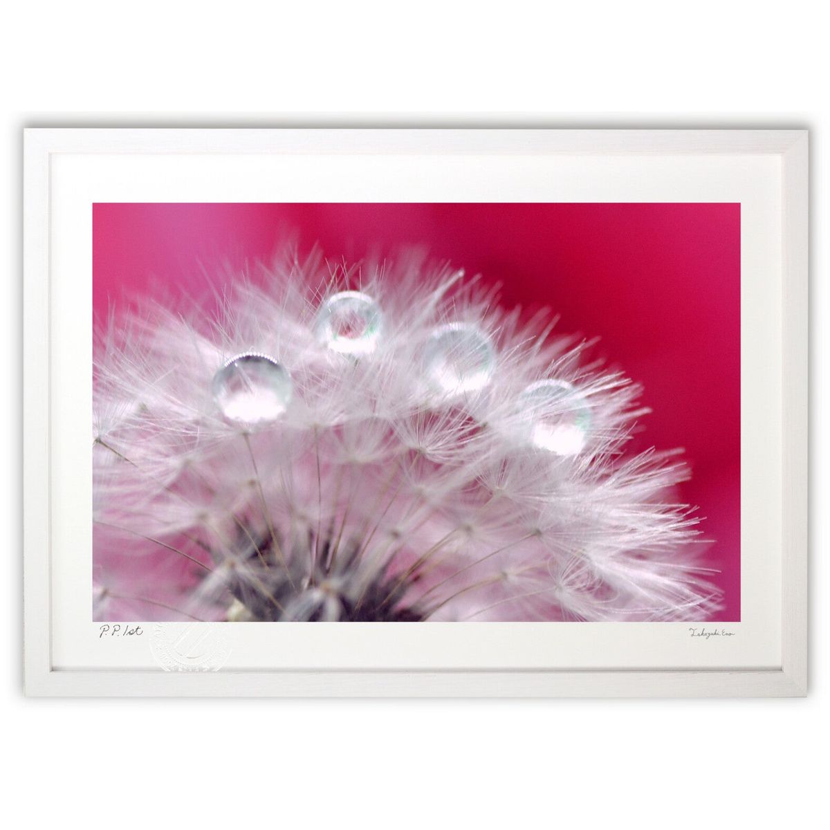 ڥѡSALEȾۡǲ ݥݤӤȤ ( )ƥꥢ ɳݤ  ʲ ݥ  ӥ ؤ˾  ץ쥼...