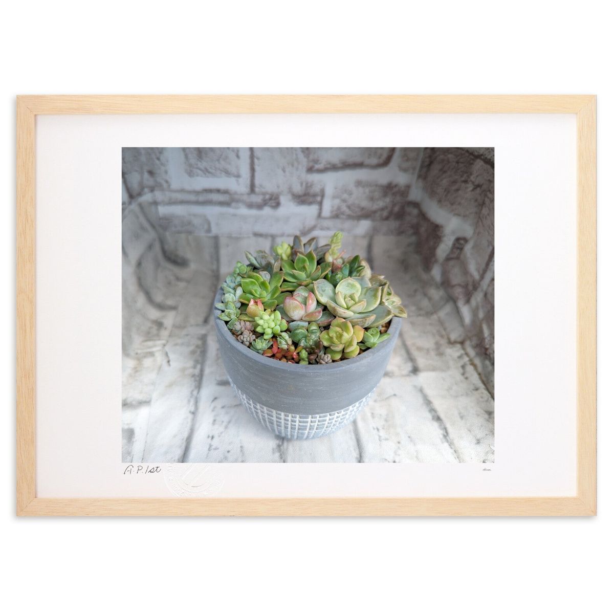 【スーパーSALE半額】版画 多肉植物のある風景② (okiron)インテリア 壁掛け 額入り 風景画 ポスター アート リビング 玄関に飾る 風水...