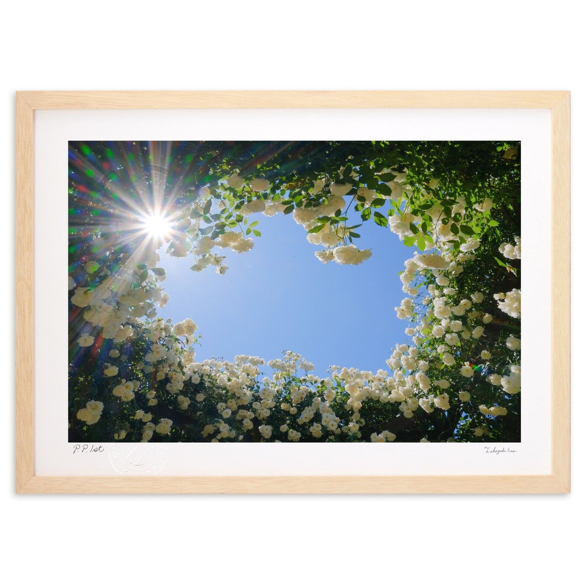 ڥѡSALEȾۡǲ 鯤ϳ (ɼ)ƥꥢ ɳݤ  ʲ ݥ  ӥ ؤ˾  ץ쥼  ...