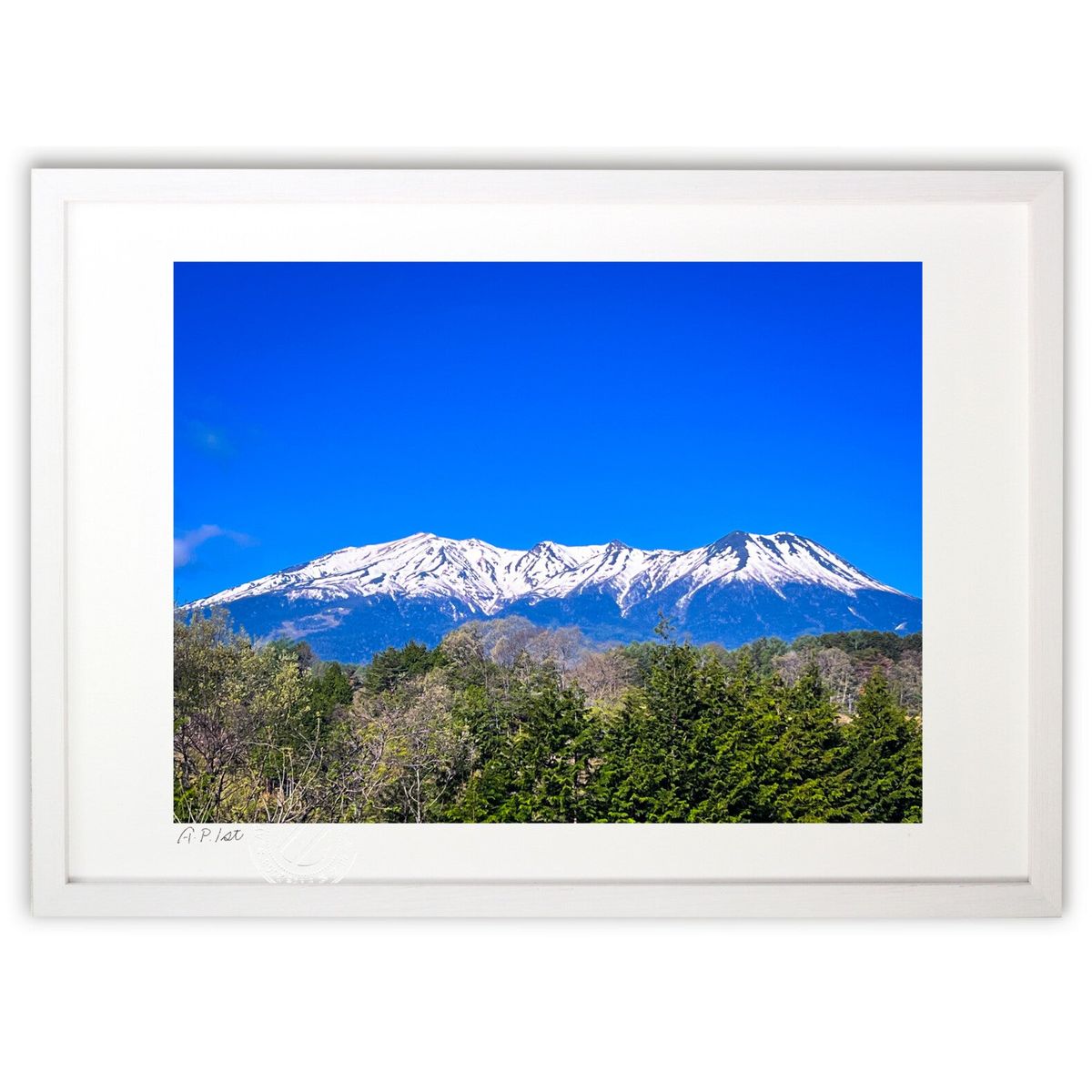 ڥѡSALEȾۡǲ ֻ (Misora)ƥꥢ ɳݤ  ʲ ݥ  ӥ ؤ˾  ץ쥼 ...