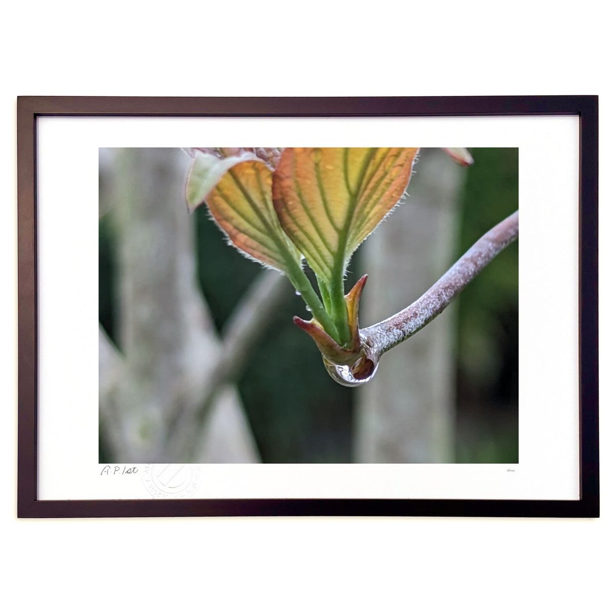 【スーパーSALE半額】版画 雫 (okiron)インテリア 壁掛け 額入り 風景画 ポスター アート リビング 玄関に飾る 風水 プレゼント モダン アートフ...