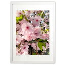 【スーパーSALE半額】版画 春がきた (美宇宙(Misora))インテリア 壁掛け 額入り 風景画 ポスター アート リビング 玄関に飾る 風水 プレゼント ...