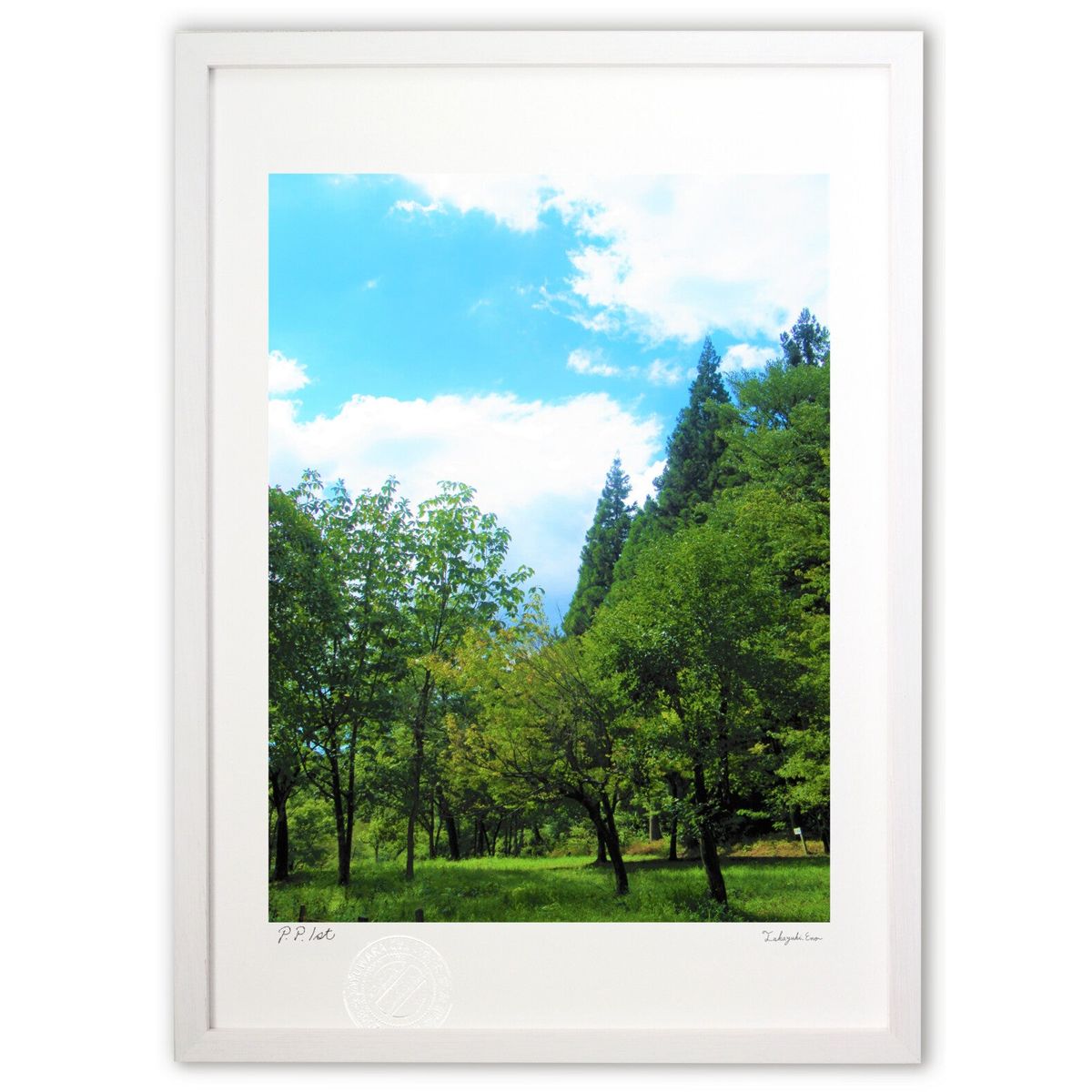 【スーパーSALE半額】版画 写真 雨上がりの森林 (縦) (C5348)