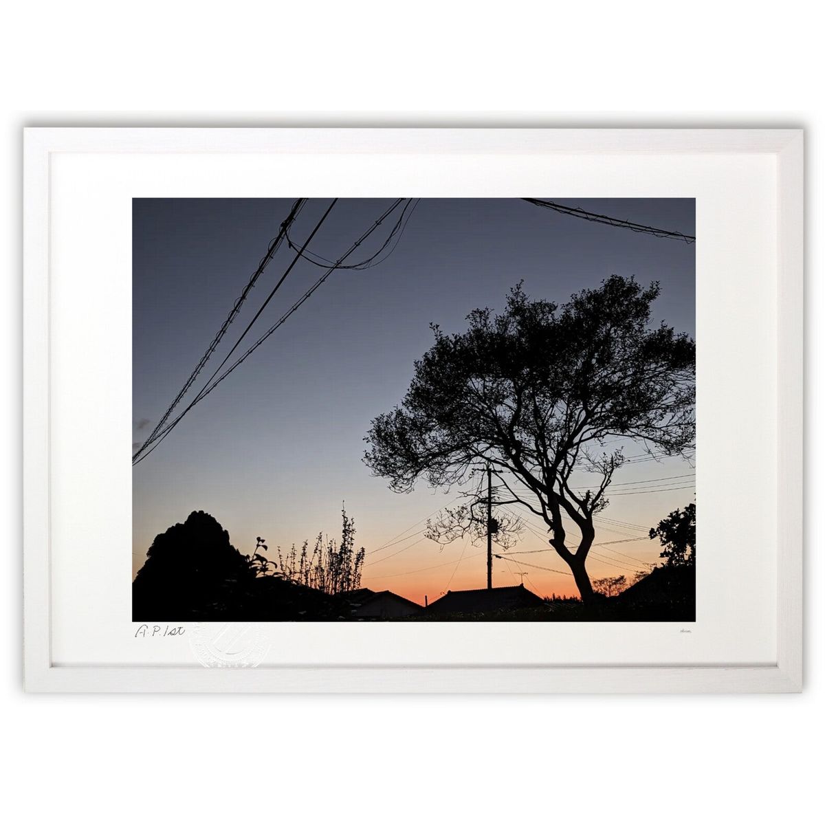 ڥѡSALEȾۡǲ īƤȡĤ (okiron)ƥꥢ ɳݤ  ʲ ݥ  ӥ ؤ˾  ץ쥼 ...