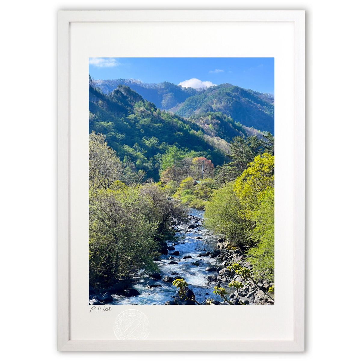 ڥѡSALEȾۡǲ 缫ޤ (Misora)