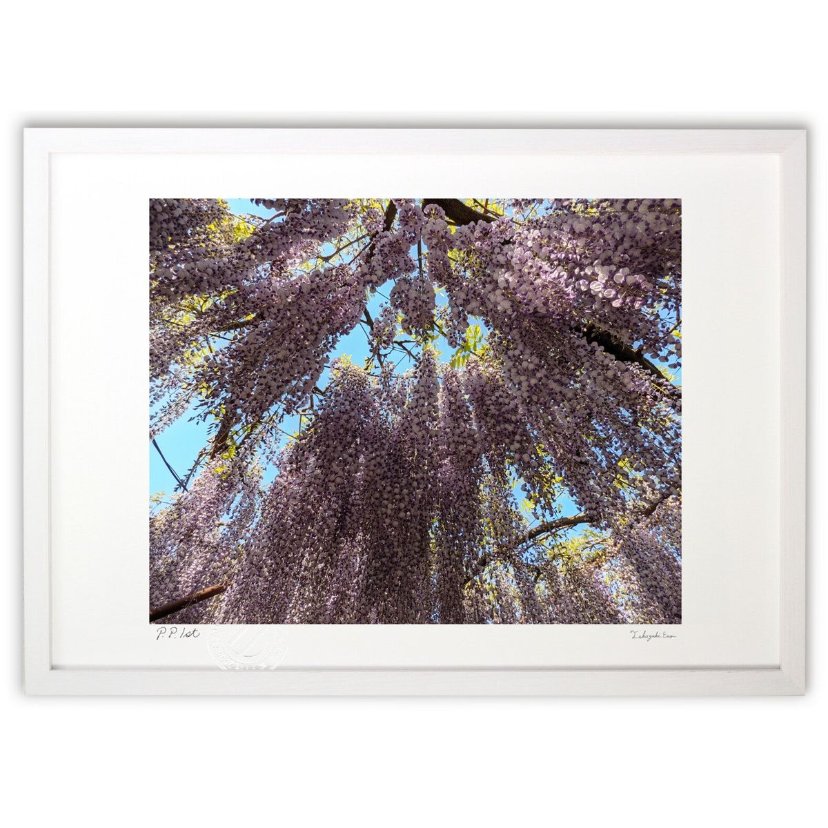 ڥѡSALEȾۡǲ ƣΥ (ŷפޤ󤸤夦)ƥꥢ ɳݤ  ʲ ݥ  ӥ ؤ˾  ץ쥼 ...