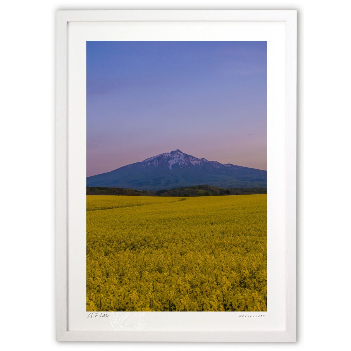 【スーパーSALE半額】版画 黄昏の朱岩木 (bluewoods07)インテリア 壁掛け 額入り 風景画 ポスター アート リビング 玄関に飾る 風水 プレゼン...