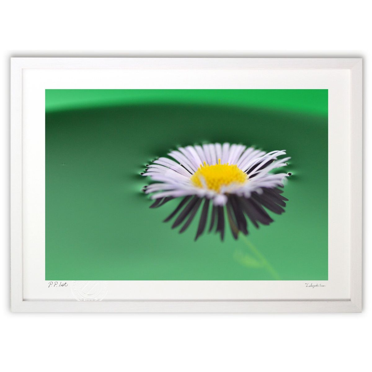 版画 浮かぶ花びら (安部 訓愛)インテリア 壁掛け 額入り 風景画 ポスター アート リビング 玄関に飾る 風水 プレゼント モダン アートフレーム