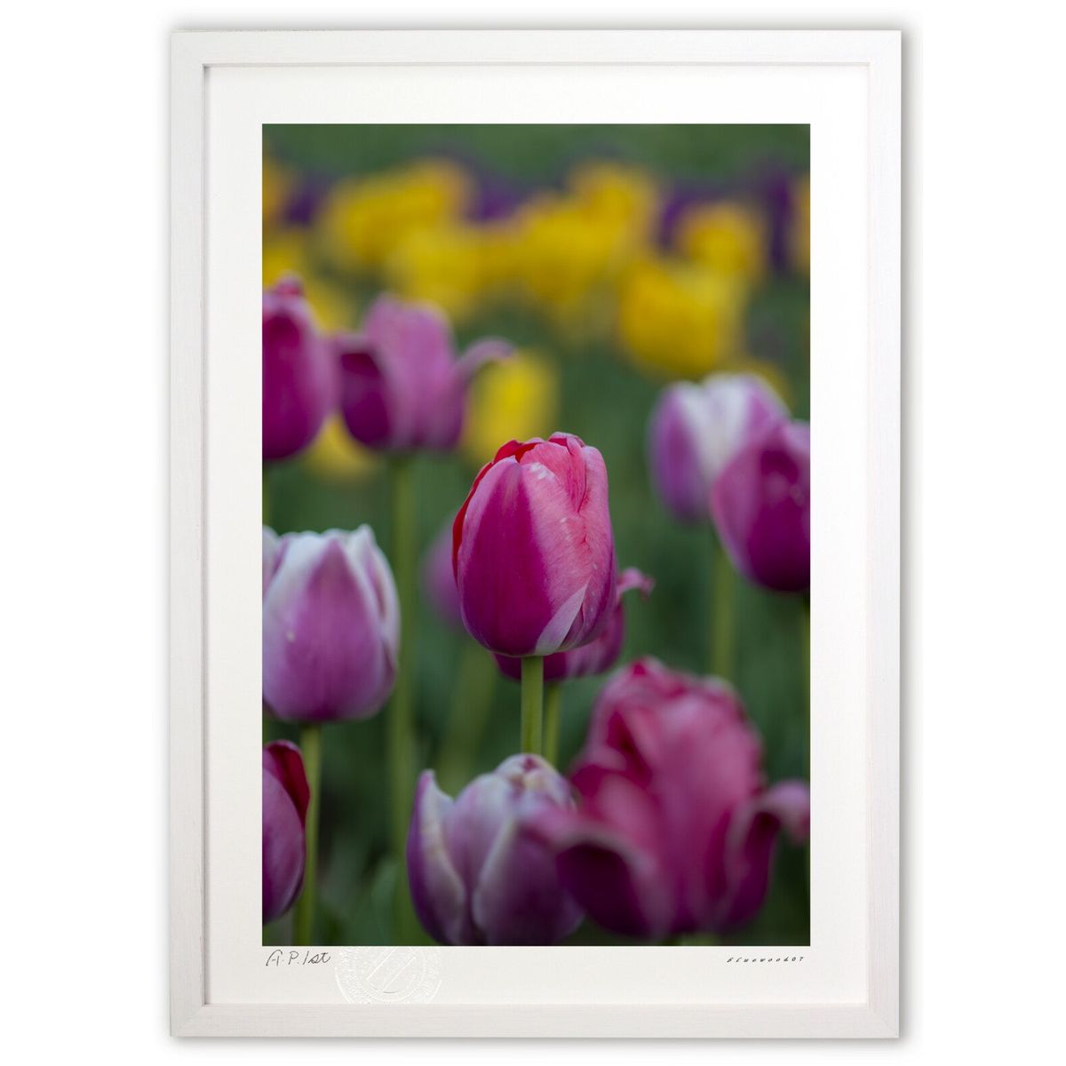 ڥѡSALEȾۡǲ 塼å (bluewoods07)