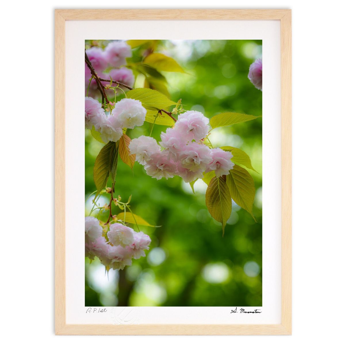 版画 薄曇りの午後に (Shinobu Muramatsu)