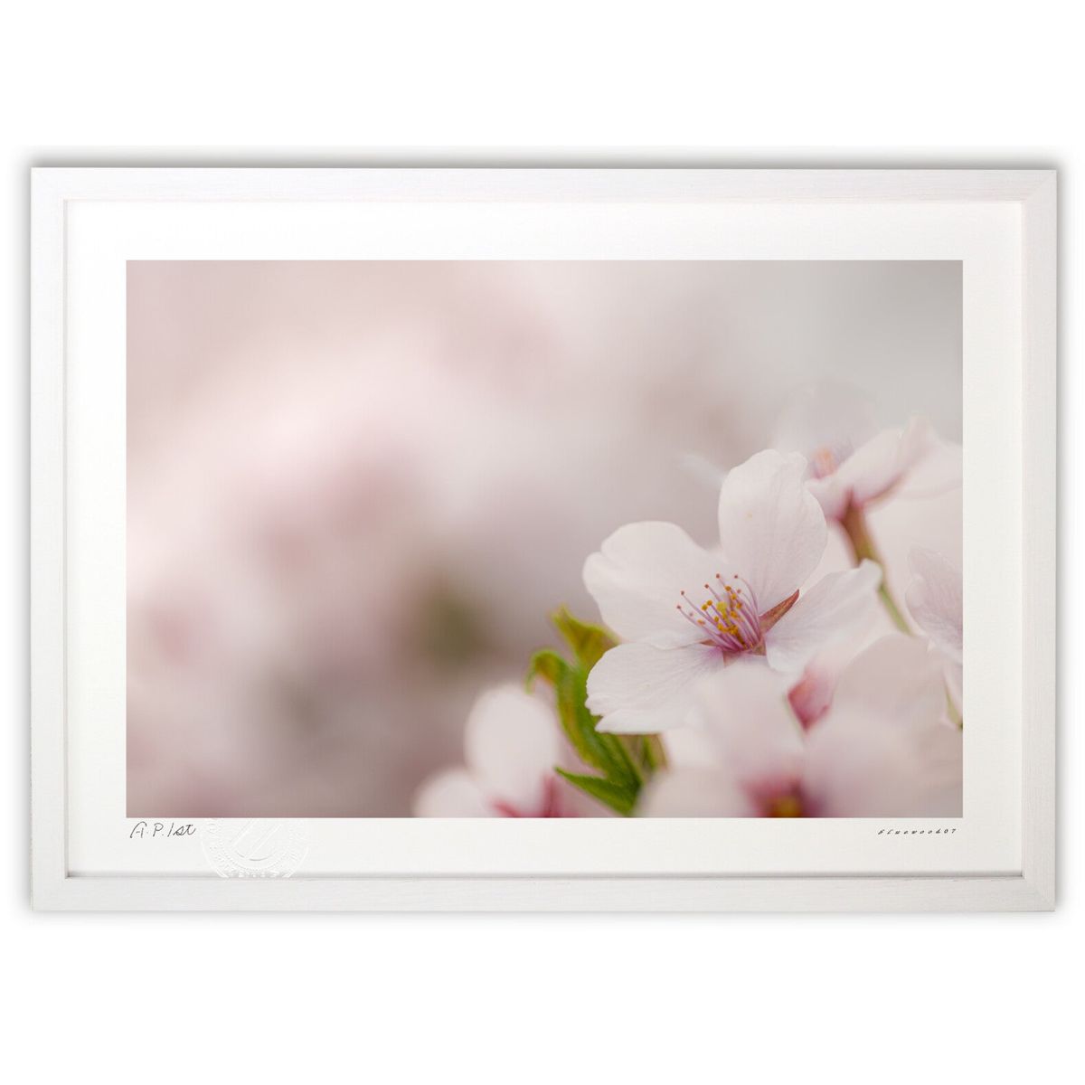 版画 さくら淡く (bluewoods07)インテリア 壁掛け 額入り 風景画 ポスター アート リビング 玄関に飾る 風水 プレゼント モダン アートフレーム