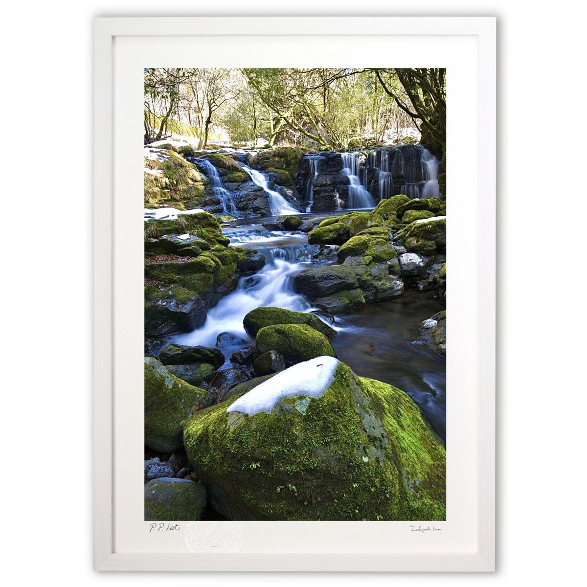 ڥѡSALEȾۡǲ  (mitan)ƥꥢ ɳݤ  ʲ ݥ  ӥ ؤ˾  ץ쥼  ...