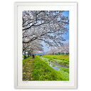 【スーパーSALE半額】版画 桜街道 (mitan)インテリア 壁掛け 額入り 風景画 ポスター アート リビング 玄関に飾る 風水 プレゼント モダン アート...
