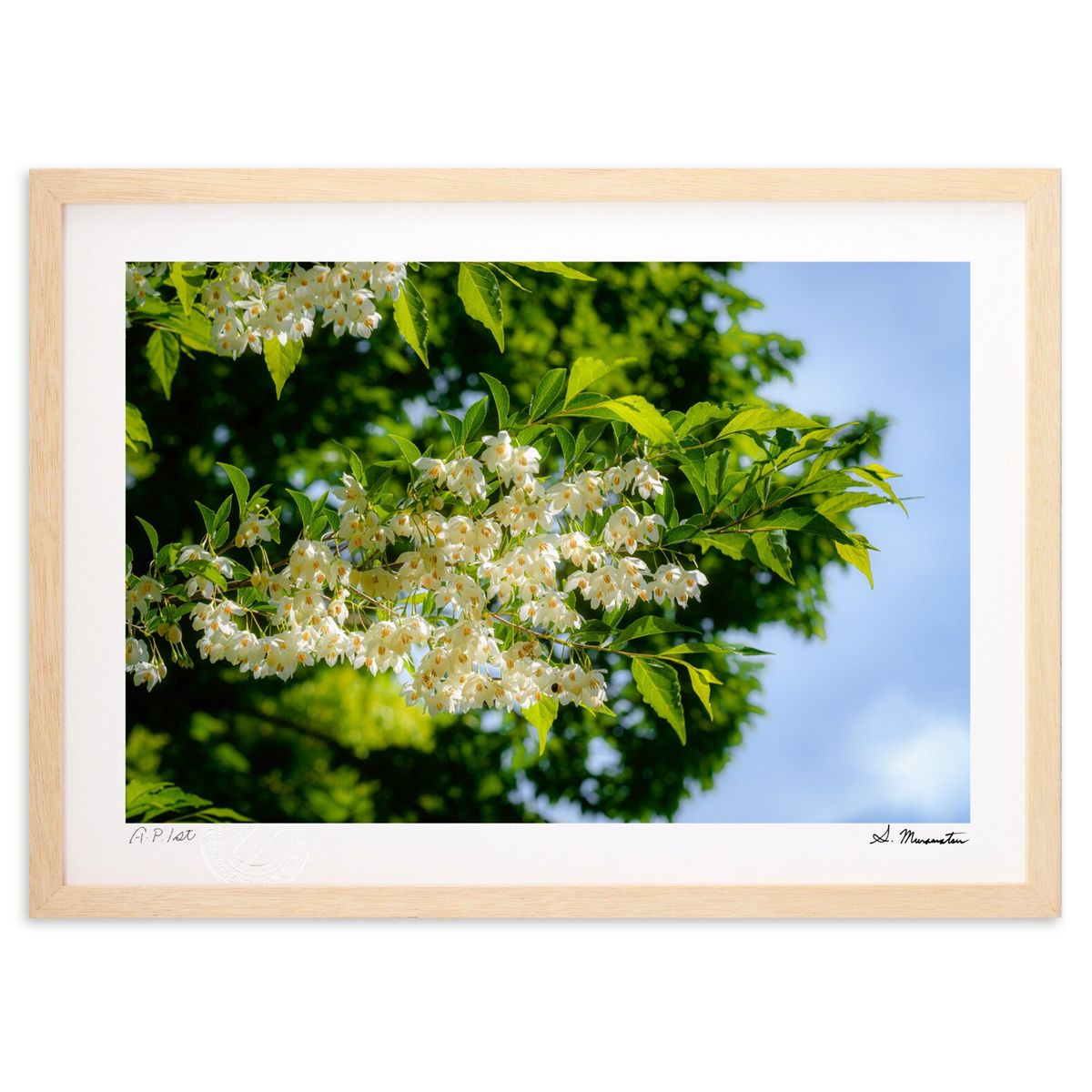 版画 夏色の予感 (Shinobu Muramatsu)