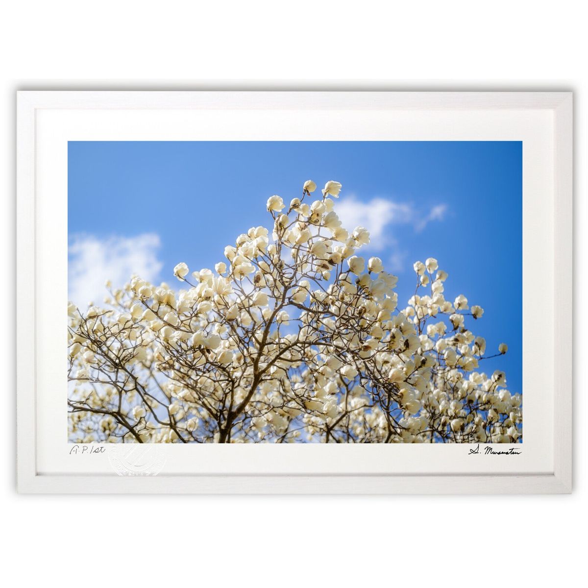 版画 春日和の午後に (Shinobu Muramatsu)