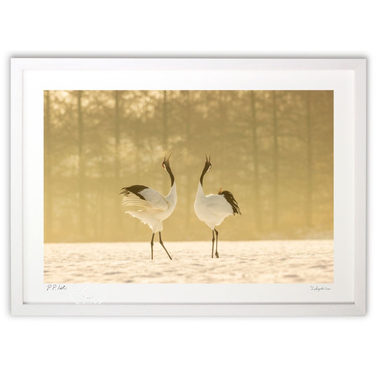 【スーパーSALE半額】版画 朝靄の中の丹頂鶴 (龍)インテリア 壁掛け 額入り 風景画 ポスター アート リビング 玄関に飾る 風水 プレゼント モダン アー...