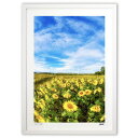 【スーパーSALE半額】版画 ひまわり畑 (eishowmutoh)インテリア 壁掛け 額入り 風景画 ポスター アート リビング 玄関に飾る 風水 プレゼント...