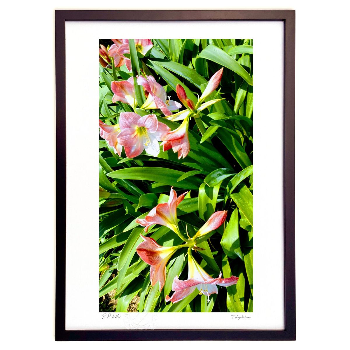 【スーパーSALE半額】版画 光満ちる (KEI)インテリア 壁掛け 額入り 風景画 ポスター アート リビング 玄関に飾る 風水 プレゼント モダン アートフ...