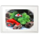 【スーパーSALE半額】版画 可愛い金魚 (安部 訓愛)インテリア 壁掛け 額入り 風景画 ポスター アート リビング 玄関に飾る 風水 プレゼント モダン ア...