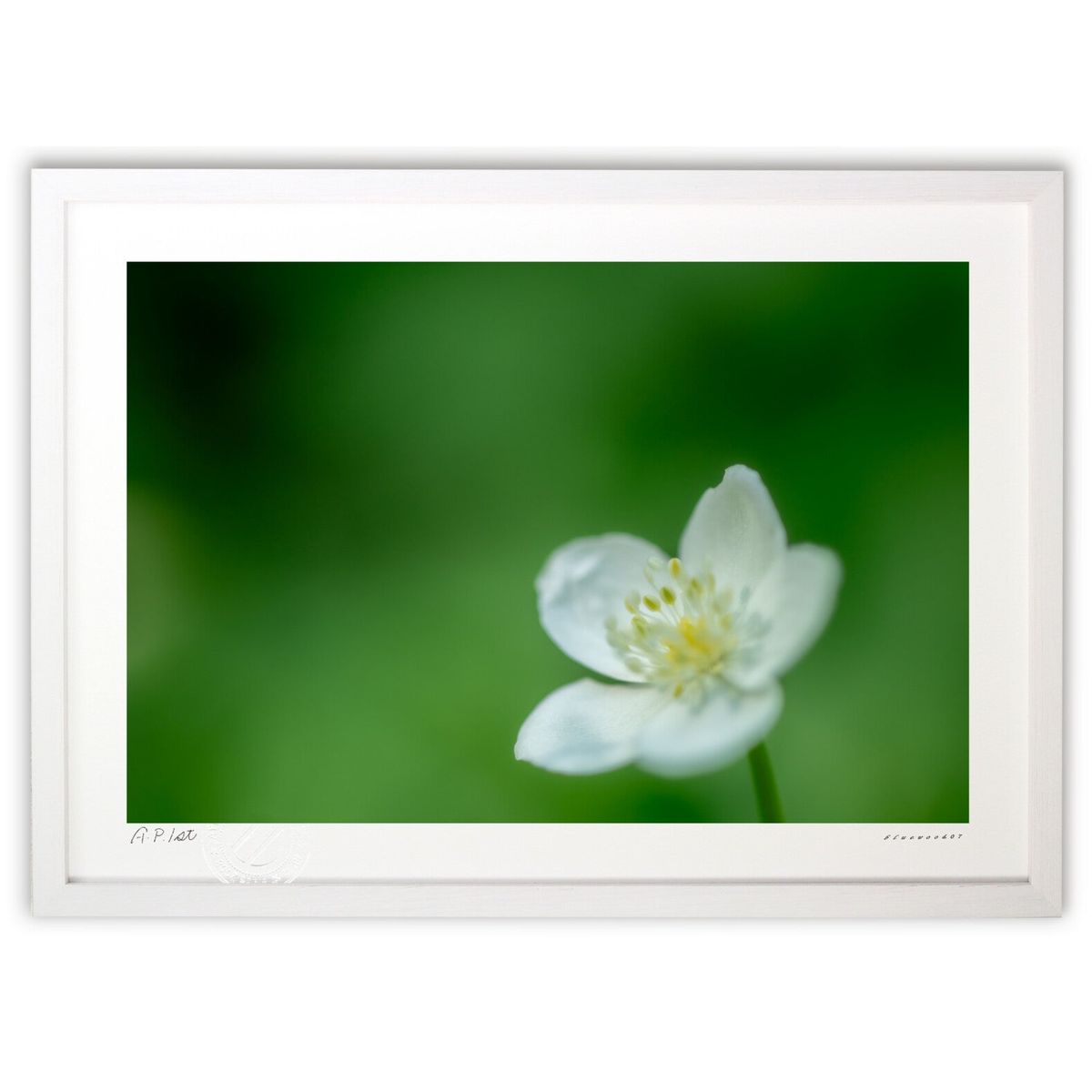 版画 可憐な二輪草 (bluewoods07)インテリア 壁掛け 額入り 風景画 ポスター アート リビング 玄関に飾る 風水 プレゼント モダン アートフレーム