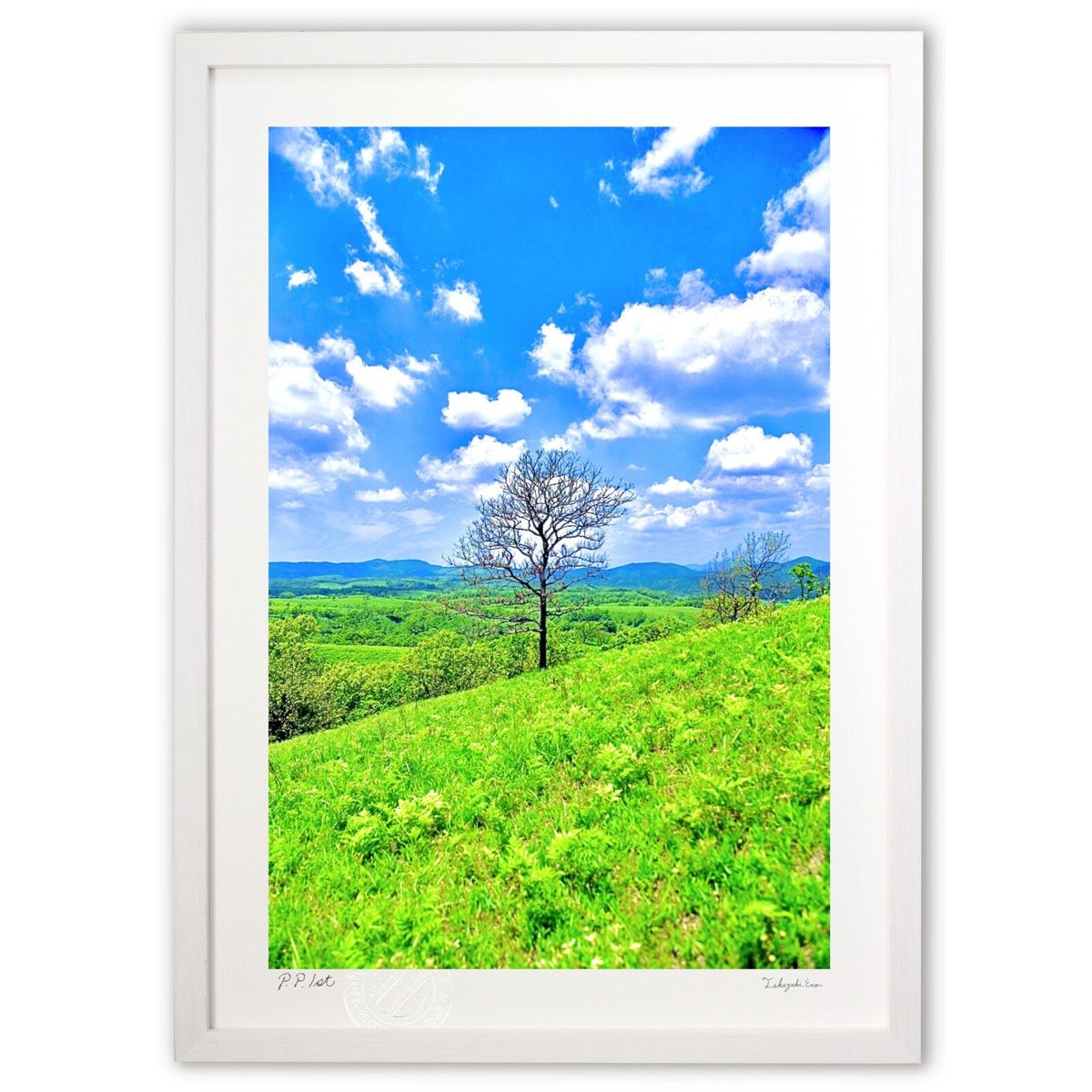 ڥѡSALEȾۡǲ Ϥڤΰ (mitan)ƥꥢ ɳݤ  ʲ ݥ  ӥ ؤ˾  ץ쥼 ...