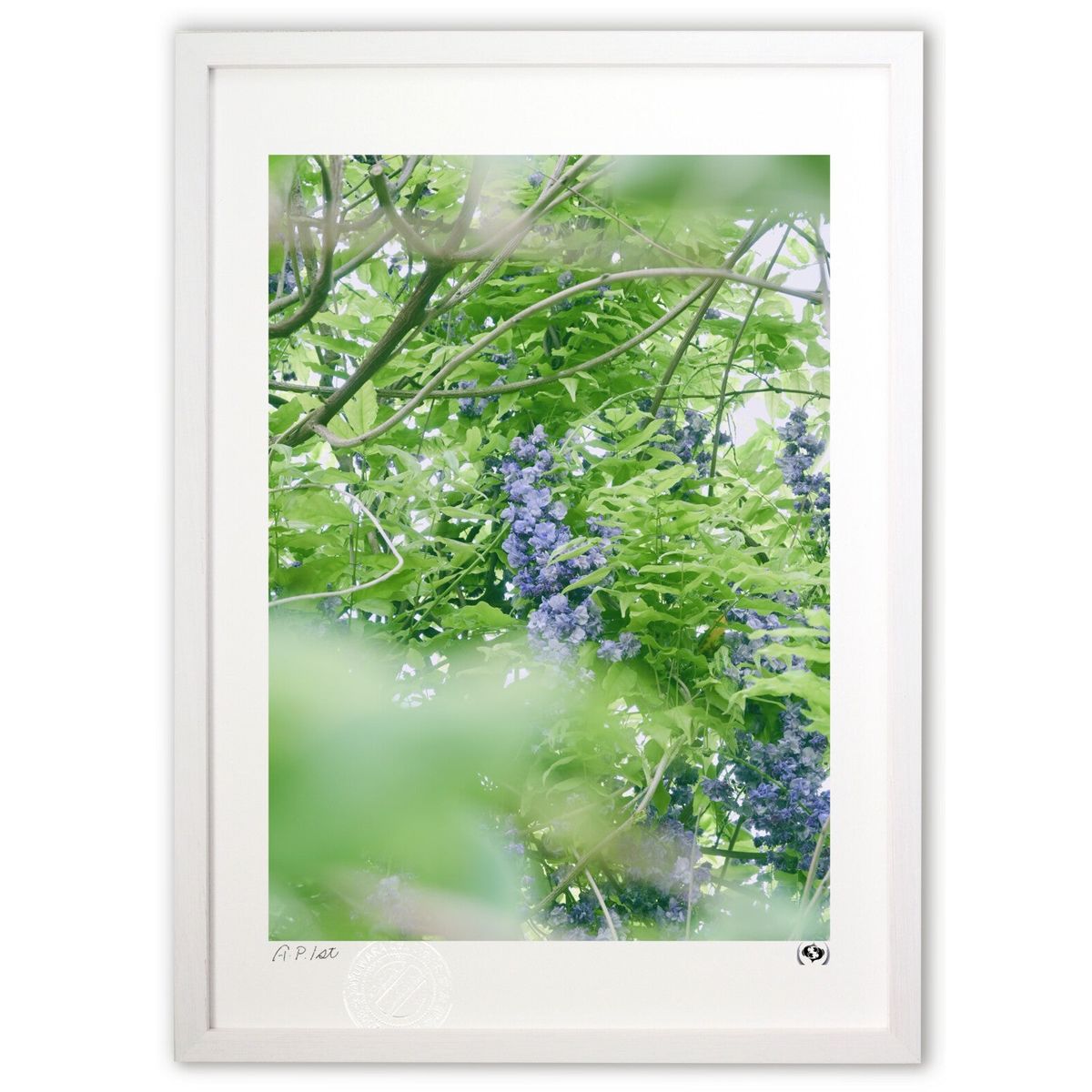 【スーパーSALE半額】版画 花1 (Tsuyoshi)インテリア 壁掛け 額入り 風景画 ポスター アート リビング 玄関に飾る 風水 プレゼント モダン ア...