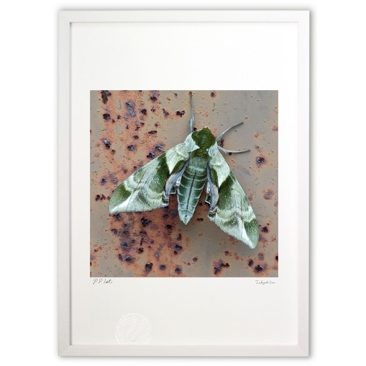 【スーパーSALE半額】版画 ウンモンスズメ (シィカちゃん)インテリア 壁掛け 額入り 風景画 ポスター アート リビング 玄関に飾る 風水 プレゼント モダ...