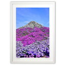 【スーパーSALE半額】版画 青空と芝桜 (mitan)インテリア 壁掛け 額入り 風景画 ポスター アート リビング 玄関に飾る 風水 プレゼント モダン ア...