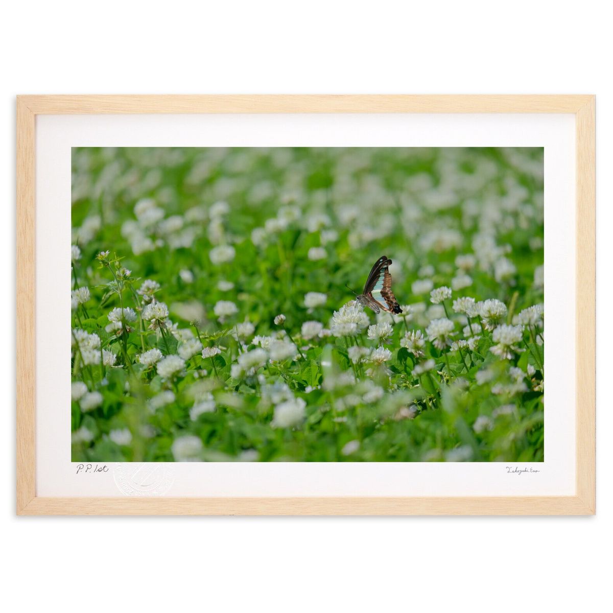 ڥѡSALEȾۡǲ Ƥ (ɼ)ƥꥢ ɳݤ  ʲ ݥ  ӥ ؤ˾  ץ쥼  ȥե...