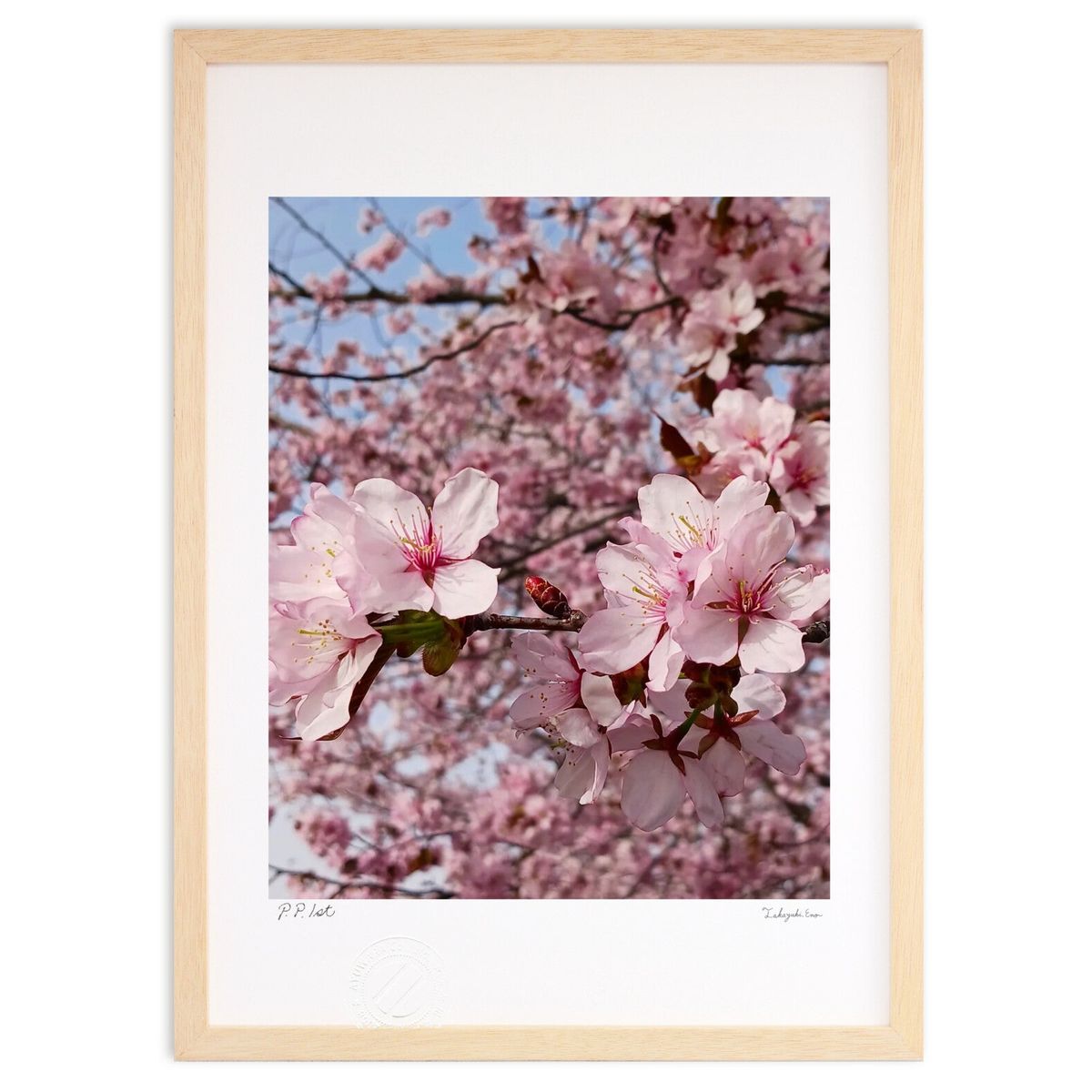 【スーパーSALE半額】版画 SAKURA (sayu)インテリア 壁掛け 額入り 風景画 ポスター アート リビング 玄関に飾る 風水 プレゼント モダン ア...