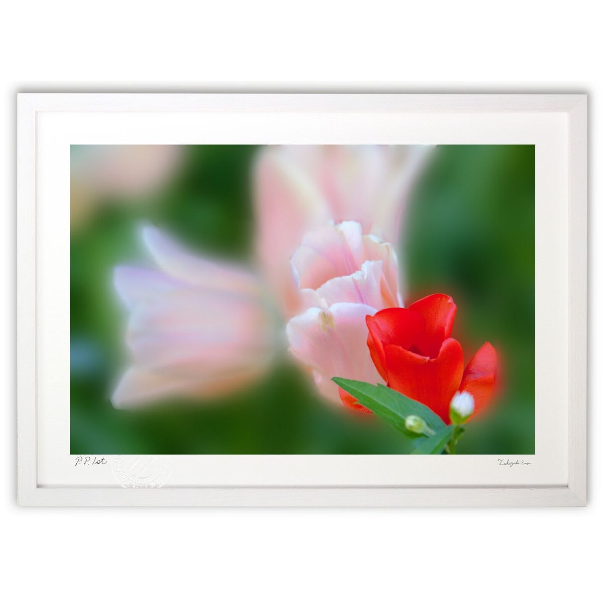 【スーパーSALE半額】版画 チューリップ (安部 訓愛)インテリア 壁掛け 額入り 風景画 ポスター アート リビング 玄関に飾る 風水 プレゼント モダン ...