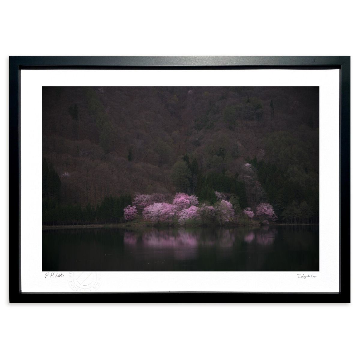 ڥѡSALEȾۡǲ ε (ramble)ƥꥢ ɳݤ  ʲ ݥ  ӥ ؤ˾  ץ쥼  ...