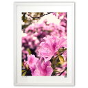 【スーパーSALE半額】版画 花2 (Tsuyoshi)インテリア 壁掛け 額入り 風景画 ポスター アート リビング 玄関に飾る 風水 プレゼント モダン ア...