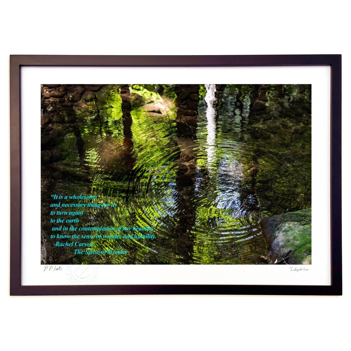 【スーパーSALE半額】版画 Patterns in nature (Little Dinosaur)