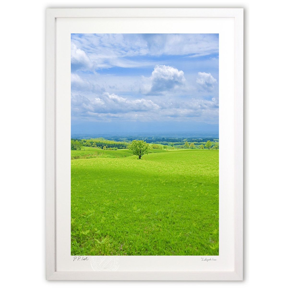 【スーパーSALE半額】版画 草原の一本木 (mitan)インテリア 壁掛け 額入り 風景画 ポスター アート リビング 玄関に飾る 風水 プレゼント モダン ...