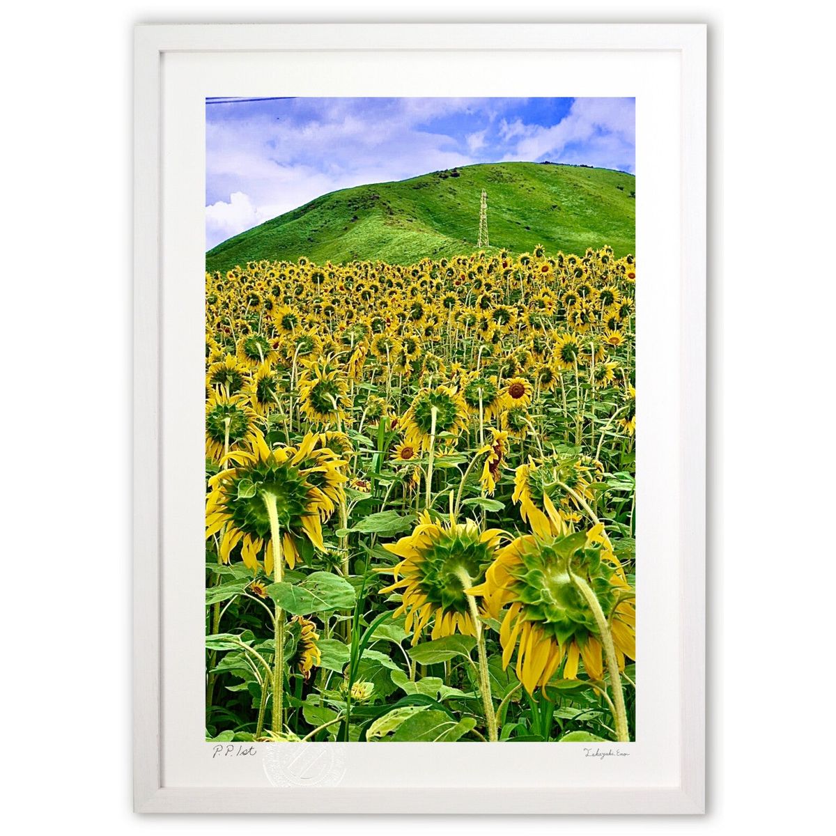 ڥѡSALEȾۡǲ ιԿ (mitan)ƥꥢ ɳݤ  ʲ ݥ  ӥ ؤ˾  ץ쥼  ...