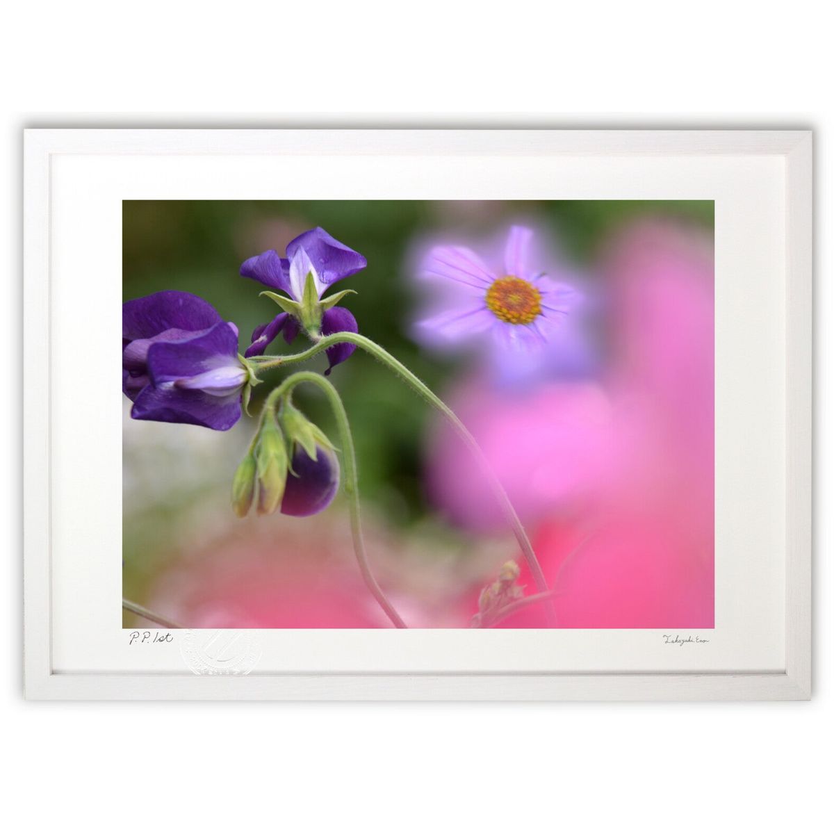 版画 花園の風景 (安部 訓愛)インテリア 壁掛け 額入り 風景画 ポスター アート リビング 玄関に飾る 風水 プレゼント モダン アートフレーム