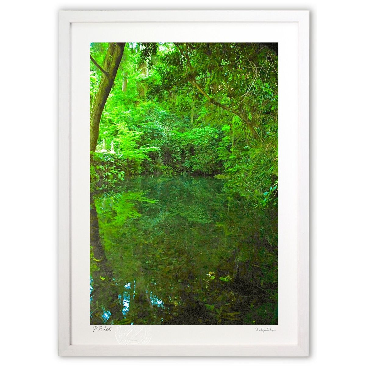 ڥѡSALEȾۡǲ Ф (mitan)ƥꥢ ɳݤ  ʲ ݥ  ӥ ؤ˾  ץ쥼  ...