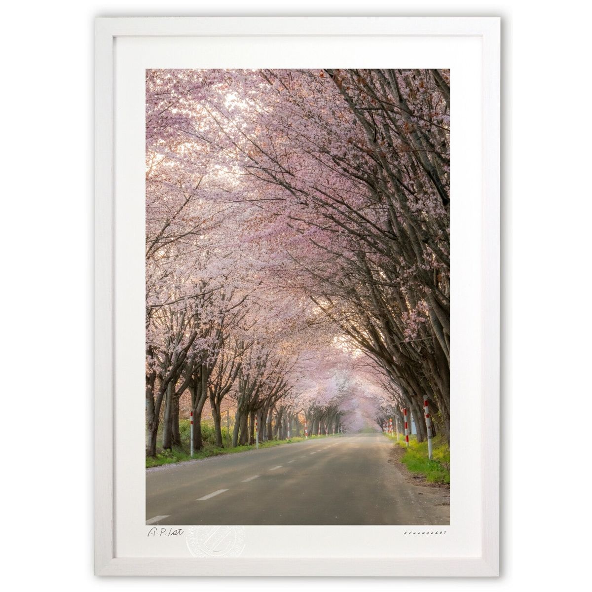 【スーパーSALE半額】版画 桜色爛漫街道 (bluewoods07)インテリア 壁掛け 額入り 風景画 ポスター アート リビング 玄関に飾る 風水 プレゼン...