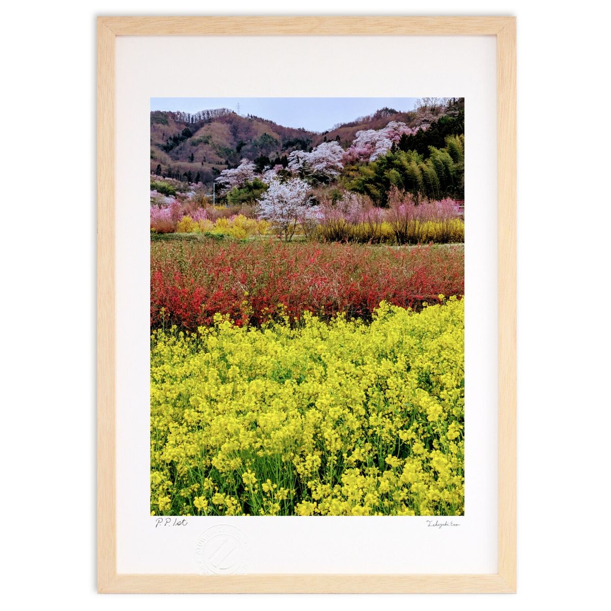 ڥѡSALEȾۡǲ  (ŷפޤ󤸤夦)ƥꥢ ɳݤ  ʲ ݥ  ӥ ؤ˾  ץ쥼  ...